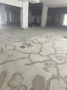 IMG 20230325 WA0035 225x300