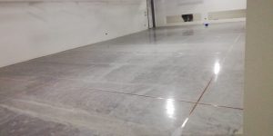 IMG 20240210 WA0069 300x150