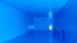 IMG 20240518 WA0070 300x169