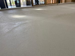 IMG 20241114 WA0062 300x225